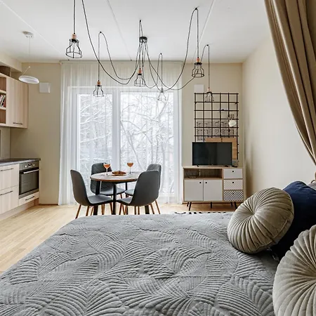 Center, Studio, 514 ヴィリニュス