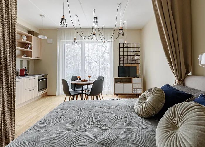 Center, Studio, 514 ヴィリニュス