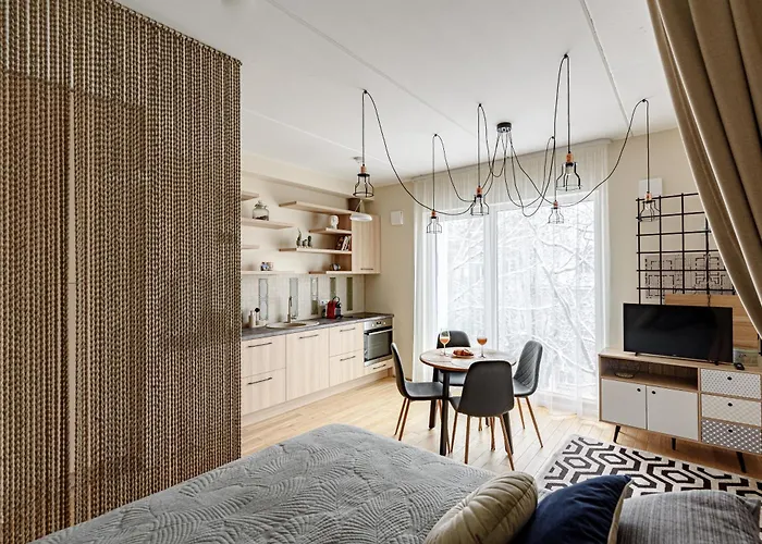 Center, Studio, 514 Apartman Vilnius