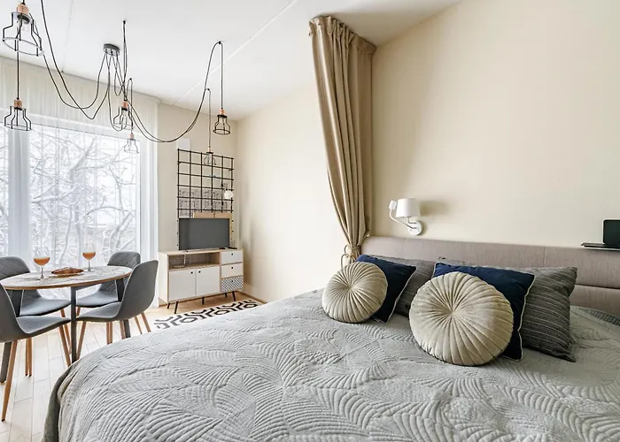 Center, Studio, 514 Apartamento Vilnius